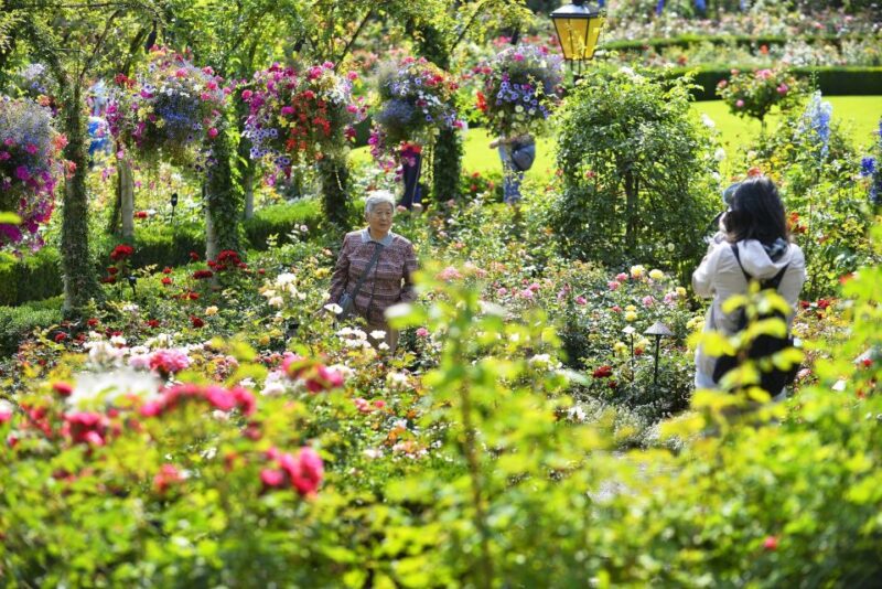 Vancouver: Victoria, Gulf Islands Cruise, & Butchart Gardens - Victoria Tour