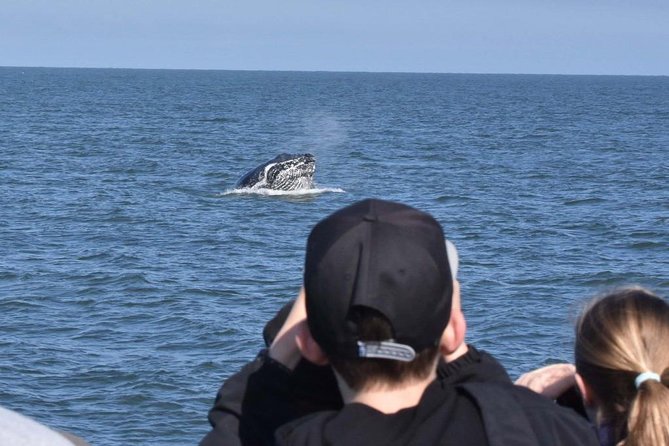 Vancouver Whale Watching Safari - Cancellation Policy