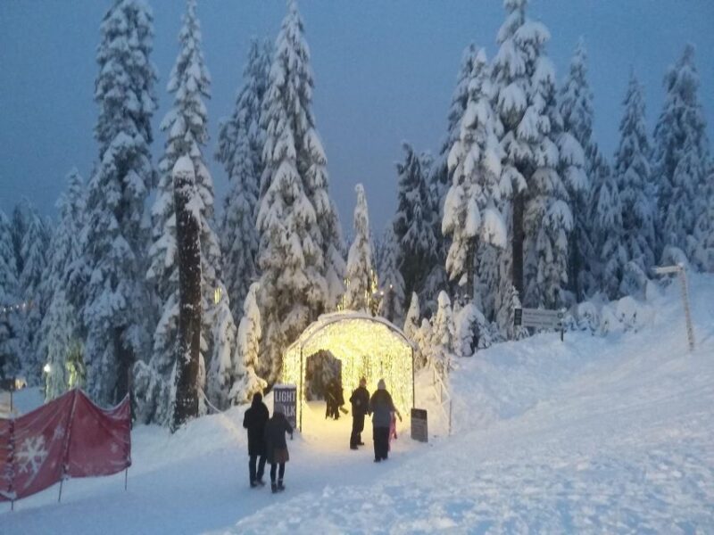 Vancouver Winter Fun Mountain Adventure Tour Private - Itinerary Highlights