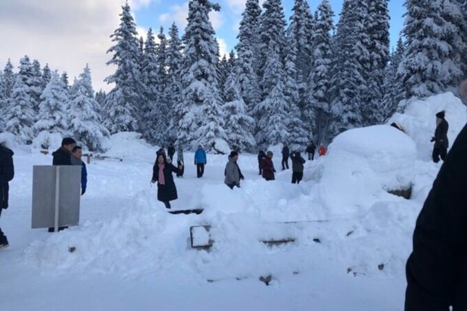 Vancouver Winter Fun Mountain Adventure Tour Private - Activities Offered