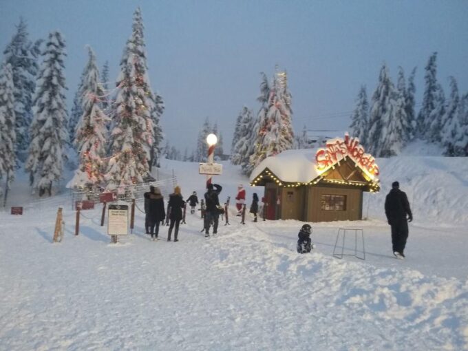 Vancouver Winter Fun Mountain Adventure Tour Private - Tour Benefits