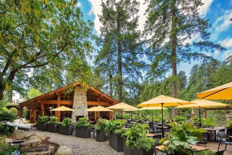 Vancouver With Stanley,Grouse Mountain&Capillano Suspension - Whats Included