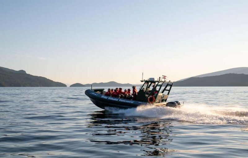 Vancouver: Zodiac Whale Watching Tour from Granville Island - Key Points