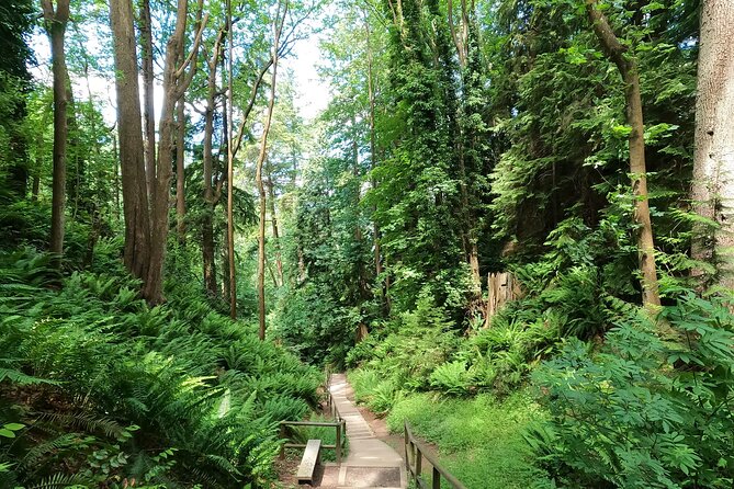 Vancouvers Natural Stair Master Workout, With Beach Walk - Preparation and Equipment