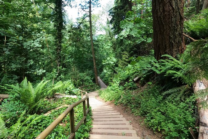 Vancouvers Natural Stair Master Workout, With Beach Walk - Highlights of the Experience