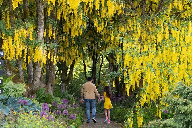 VanDusen Botanical Garden Admission Ticket - Dining Options