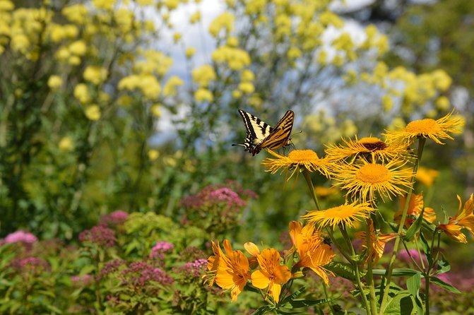 VanDusen Botanical Garden Admission Ticket - Additional Considerations