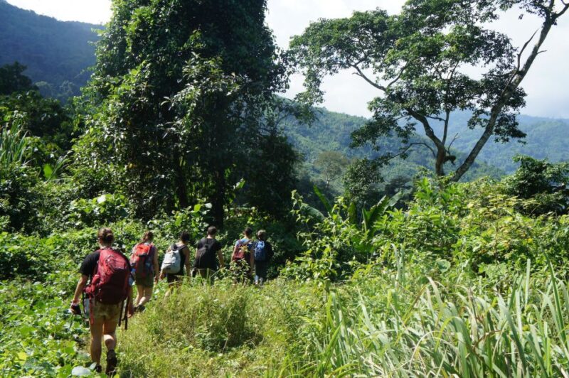 Vang Vieng: Jungle & Caves Full-Day Private Trekking Tour - Key Points