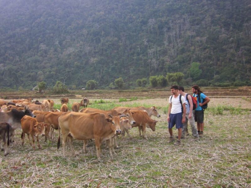 Vang Vieng: Jungle & Caves Full-Day Private Trekking Tour - Recommended Gear