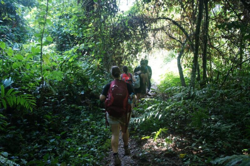 Vang Vieng: Jungle & Caves Full-Day Private Trekking Tour - Customer Testimonials