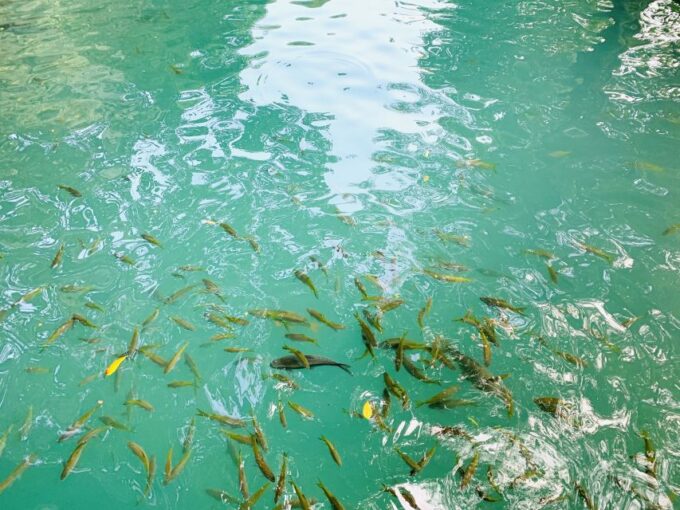 Vang Vieng: Kayaking & Cave Tubing With Zip Line/Blue Lagoon - Kayaking on Nam Song River