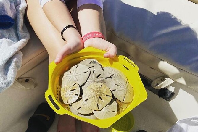 Vanishing Mile Isle Beachcomber Tour - Discovering Sand Dollars and Seashells
