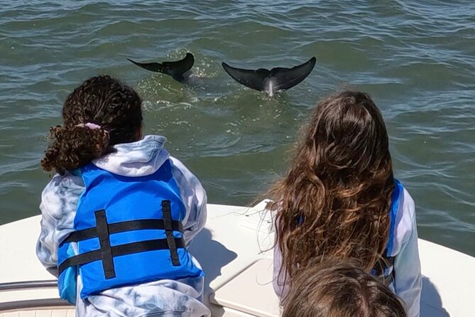 Vanishing Mile Isle Beachcomber Tour - Accompanied by a Master Naturalist