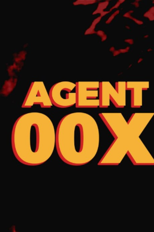 Vanse: Agent 00X - Escape Room Experience - Frequently Asked Questions