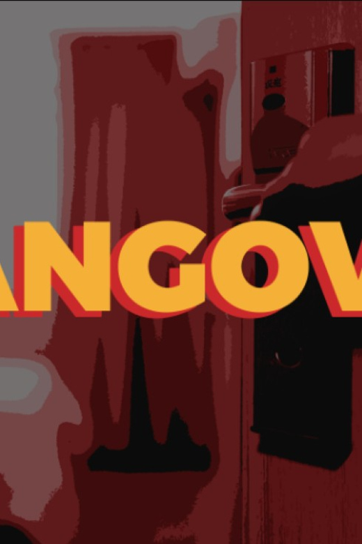 Vanse: Hangover - Escape Room Experience - Key Points