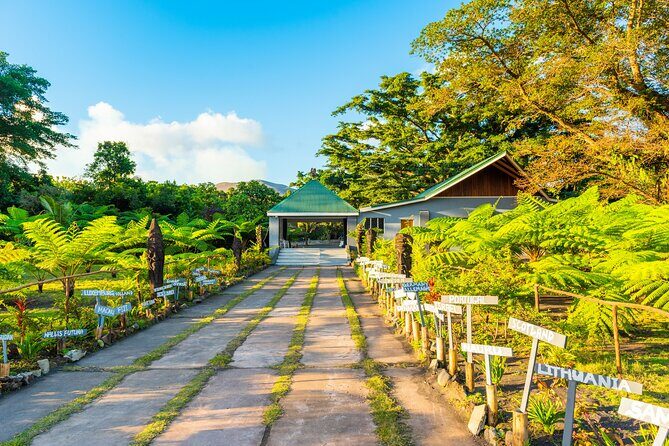 Vanuatu Island Discovery: Full Day Private Shore Tour from Port - Tanna Coffee: Savor the Flavors of Vanuatu