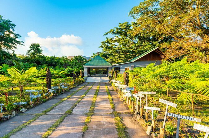 Vanuatu Island Discovery: Full Day Private Shore Tour from Port - Emua: Scenic Views and Local Life