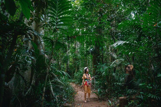 Vanuatu Skybridge with Transfers - An In-Depth Look at the Vanuatu Skybridge Tour