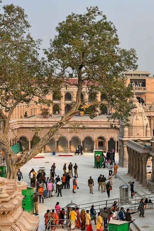 Varanasi: Private Guided Tour of Varanasi and Sarnath - Exploring Varanasi and Sarnath