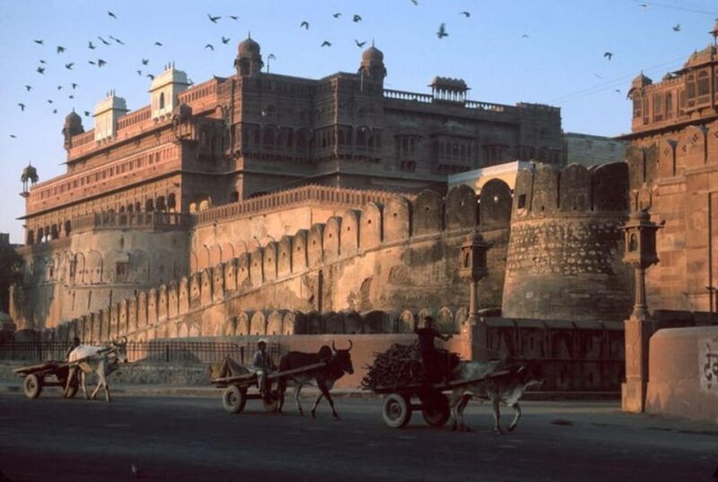 Varanasi: Private Prayagraj Full Day Tour - Transportation and Services