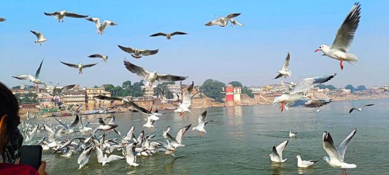 Varanasi : Private Sightseeing Day Trip & Ganges Cruise - Morning Activities