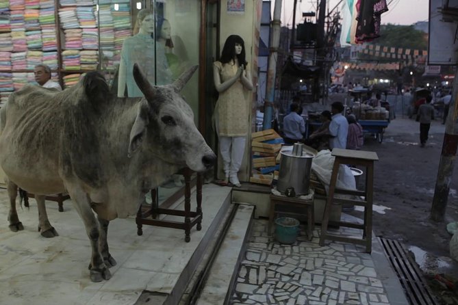 Varanasi Puzzled Alleys and Hidden Shrines - Inclusions and Pickup
