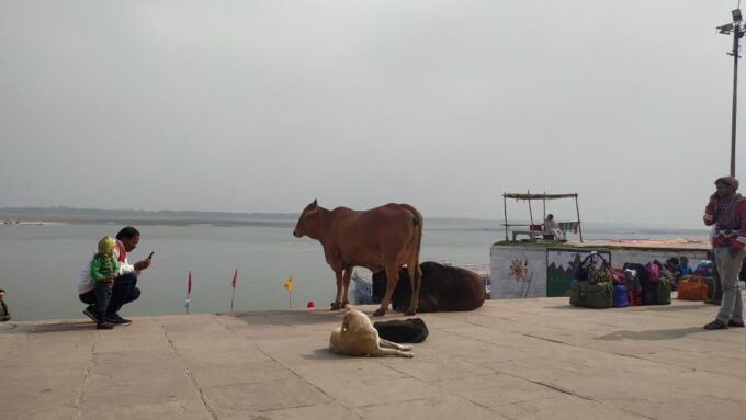 Varanasi Walking and Heritage Tour - Experiencing Varanasis Vibrant Street Life