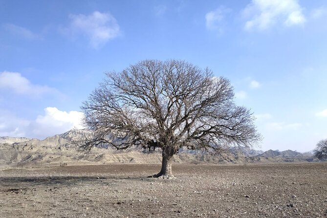 Vashlovani National Park Day Trip From Tbilisi - Quick Points
