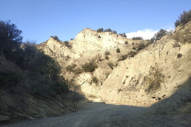 Vashlovani National Park Day Trip From Tbilisi - Included Amenities and Meals
