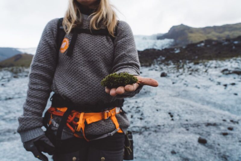 Vatnajökull: Short Glacier Encounter Walk With 4x4 Transfer - Inclusions and Exclusions