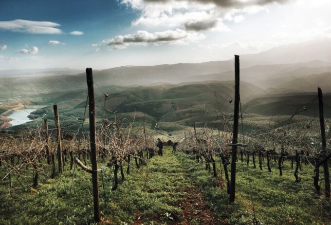 Vatolakkos, Crete: Organic Winery Tour With Tasting - Additional Details