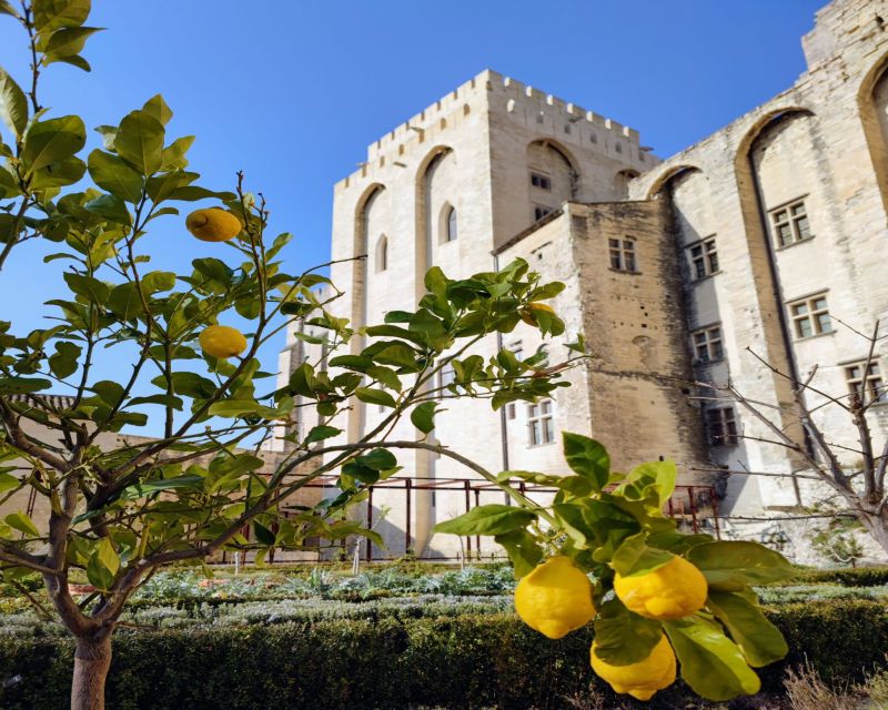 Vaucluse: Provence Pass With 40+ Activities and Discounts - Pass Details and Inclusions