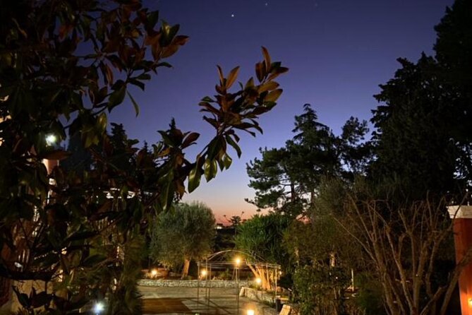 Vegan Charme: Typical Dinner With a Local in Monopoli - Accommodating Food Restrictions