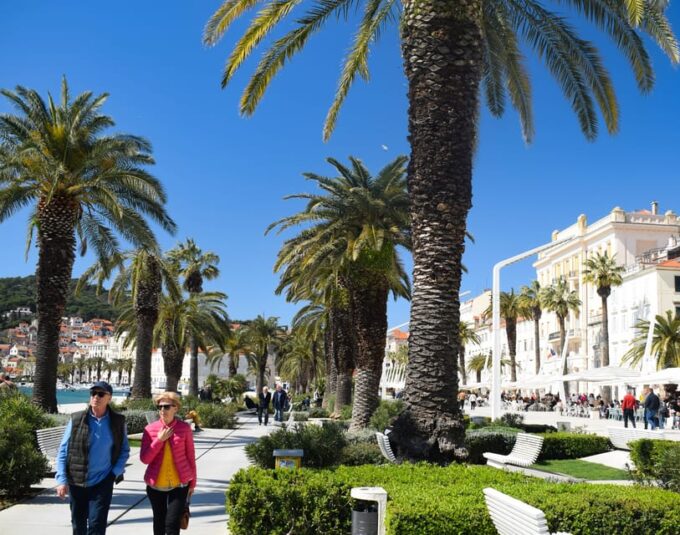 Vegan Food Tour of Split With Local Gastronomy - Vegan Dishes and Tastings