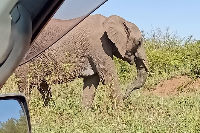 Vegans Special Safari - Responsible and Sustainable Safari Practices