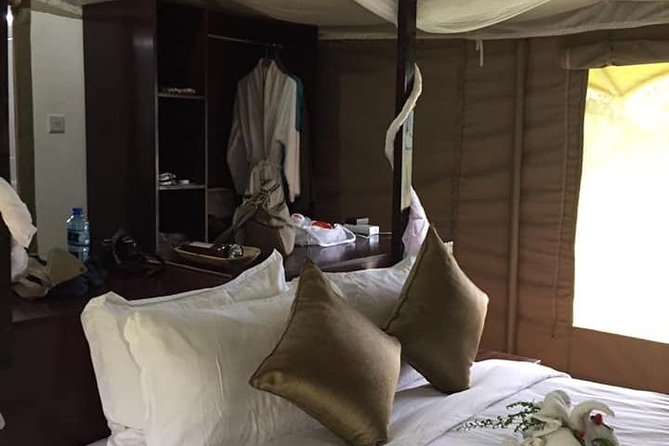 Vegans Special Safari - Preparing for the Vegan Safari Journey