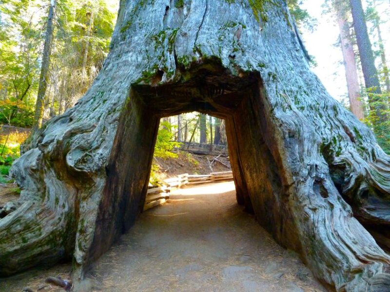 Vegas: 4-Day Tour of Death Valley, Yosemite & San Francisco - Accommodation Options