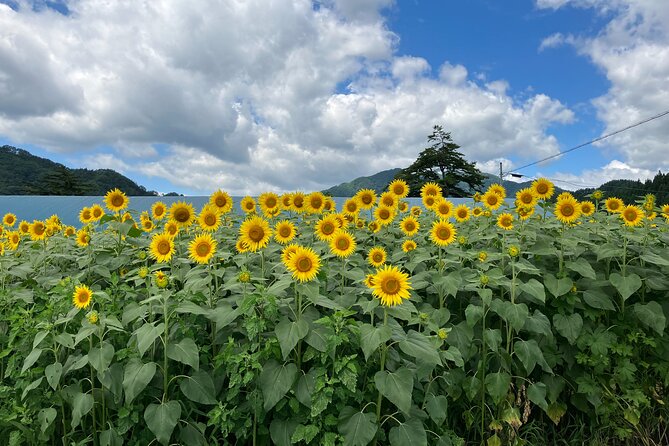 Vegetable Harvesting and Food Culture Experience in Yamada Town - Preparing for the Vegetable Harvesting