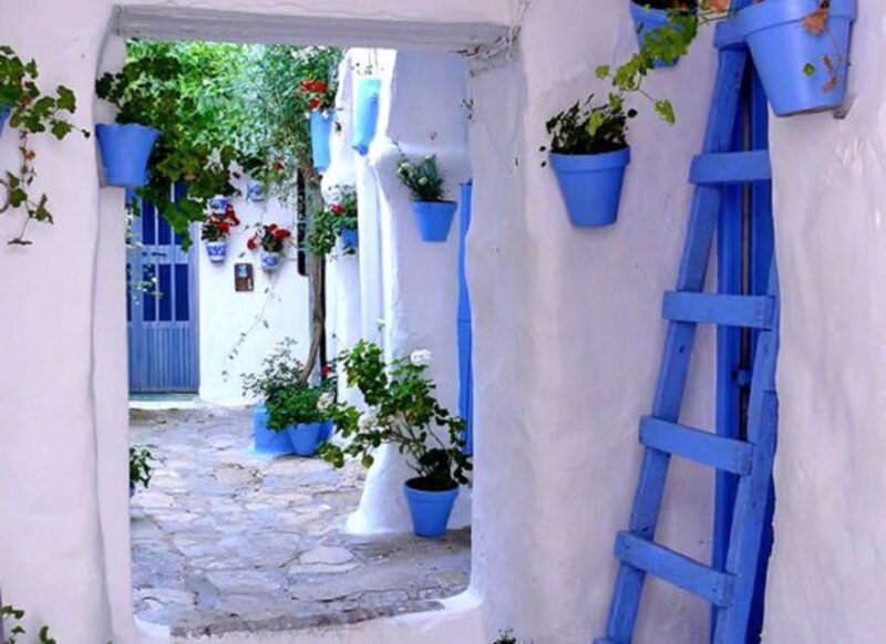 Vejer and Conil: Tour From Jerez, El Puerto, Cádiz, Chiclana - Itinerary and Experience