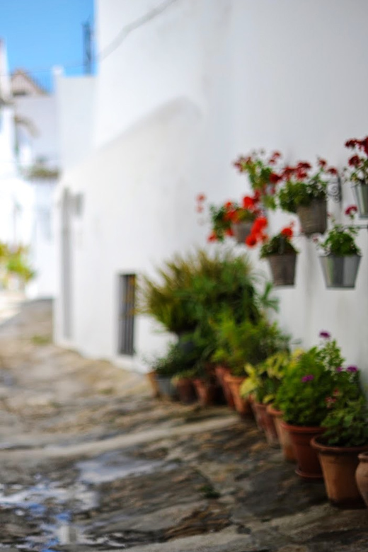 Vejer De La Frontera & Bolonia Private Day Trip From Seville - Key Points