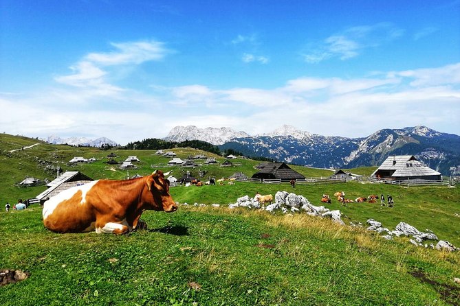 Velika Planina Mountain Plateau and Kamnik Tour From Ljubljana - Key Points