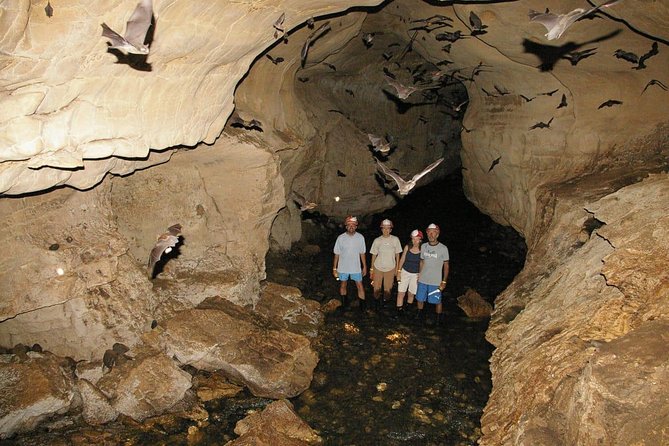 Venado Caves - Wildlife Sightings