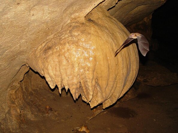 Venado Caves Underground Experience From La Fortuna PRIVATE TOUR - Key Points