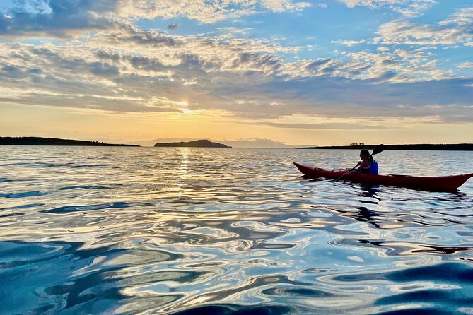 Venetian Port Kayaking - Highlights of the Experience