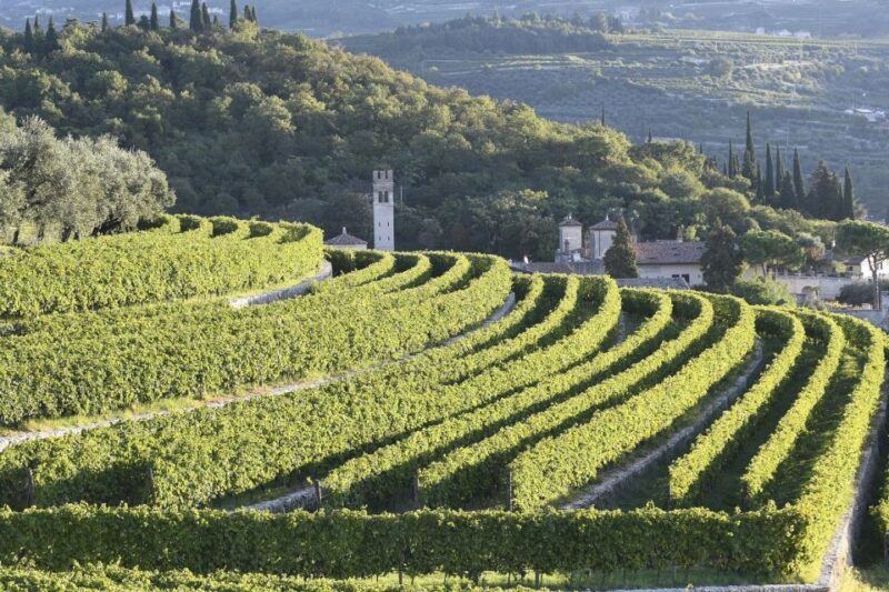 Veneto: Amarone Cooking and Tasting Experience in a Villa - Pricing and Reservation Details