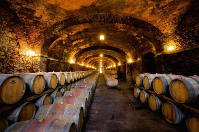 Veneto: Amarone Cooking and Tasting Experience in a Villa - Culinary Highlights