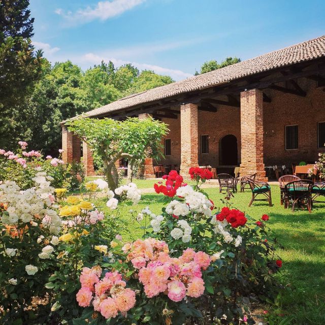 Veneto: Hands-On Cooking Class & Lunch - Farm Outside Venice - Included Amenities