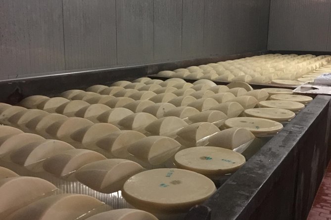 Veneto Villas, Medieval Towns and Grana Padano Production Day Tour - Highlights of the Tour
