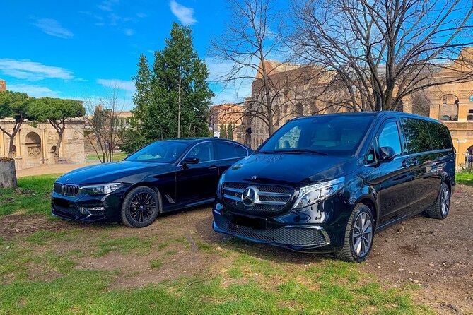 Venice Airport (Vce) to Venice, Piazzale Roma - Arrival Private Transfer - Accessibility and Participation