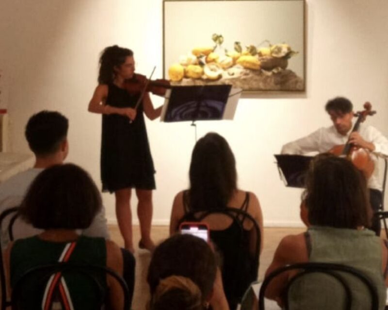 Venice: Baroque and Classical Concert in a Historical Palace - Venue Description